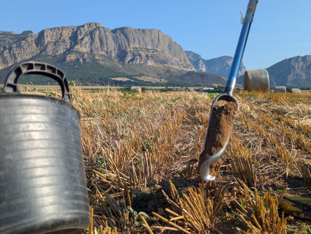 Nexes - Solucions agroramaderes - Gestió d’activitats agrícoles i ramaderes - Osona, Catalunya