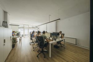 Nexes - Solucions agroramaderes - Gestió d’activitats agrícoles i ramaderes - Osona, Catalunya